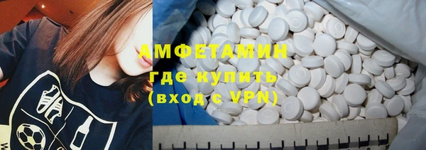 индика Новокубанск