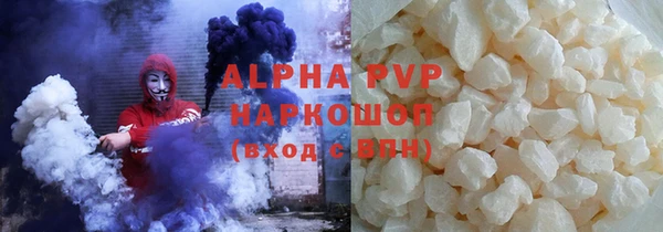 сатива Новодвинск