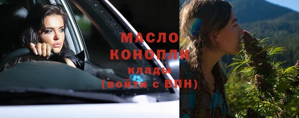 сатива Новодвинск