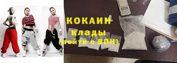сатива Новодвинск