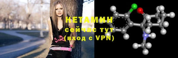 сатива Новодвинск