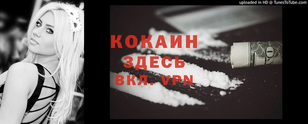 индика Новокубанск
