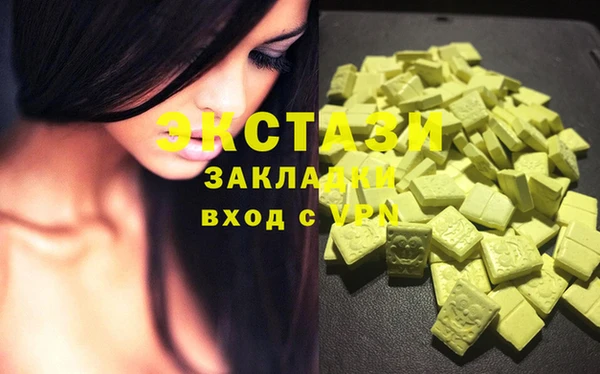 сатива Новодвинск