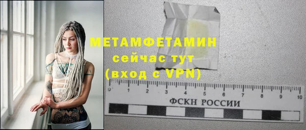 индика Новокубанск