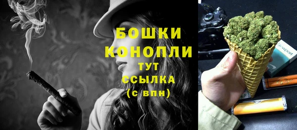 прущая мука Нея