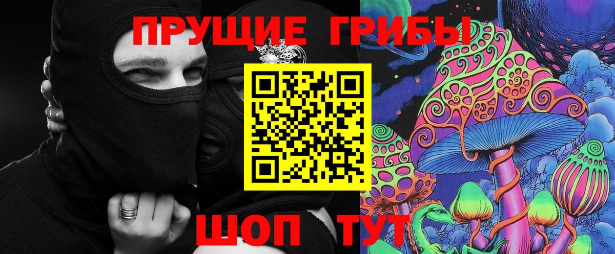 Псилоцибиновые грибы мицелий  Торжок 